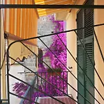 Hotell Triestina Noli